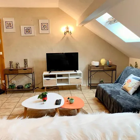 Charmant appart sous toits proche Château des Ducs Chambéry Extérieur photo