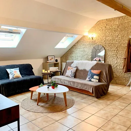Charmant appart sous toits proche Château des Ducs Chambéry Extérieur photo