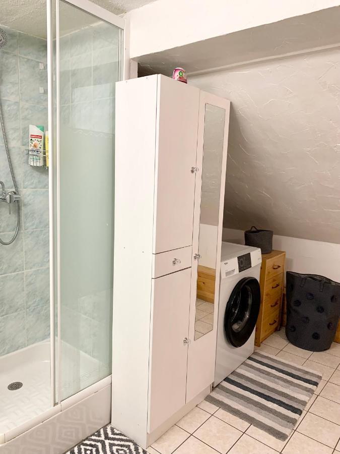 Appartement Sous Toits Proche Château Des Ducs *