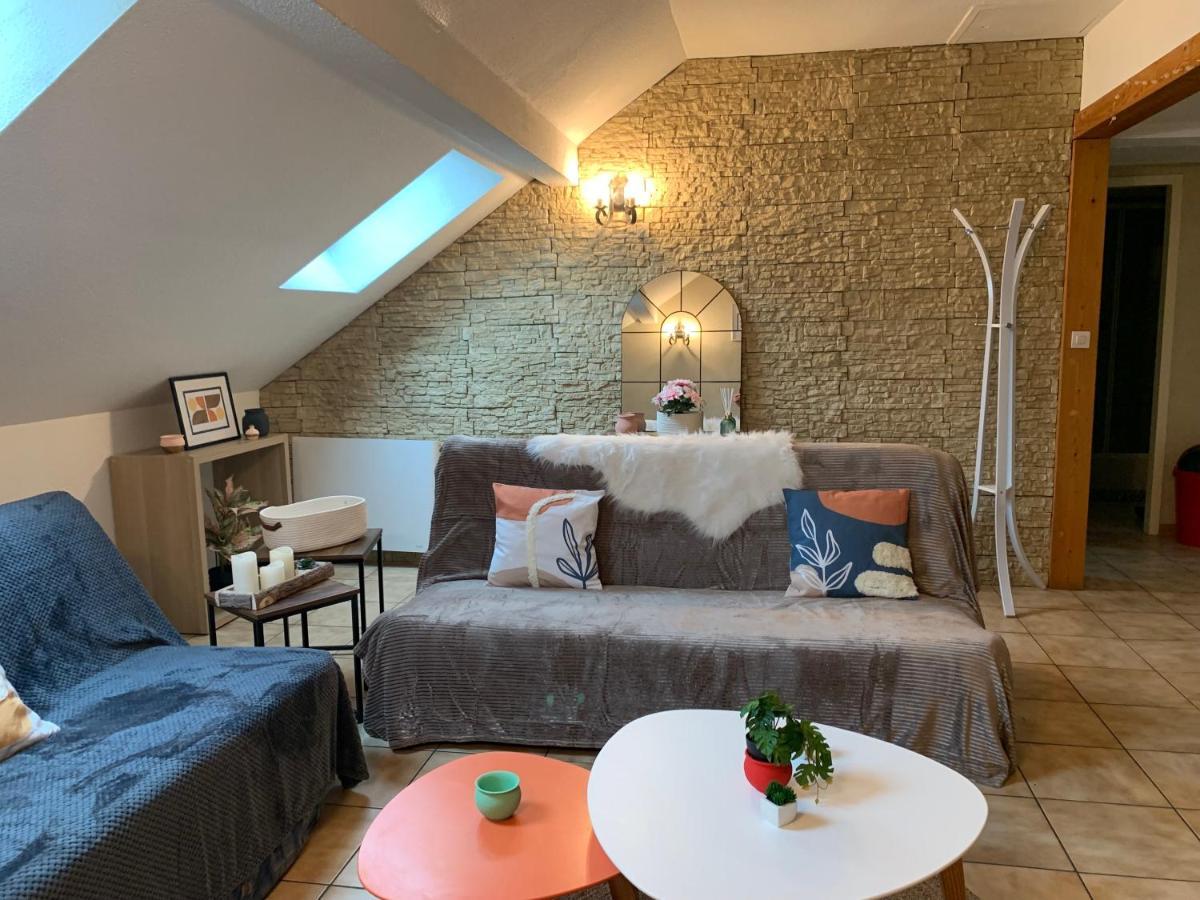Sous Toits Proche Château Des Ducs Chambéry